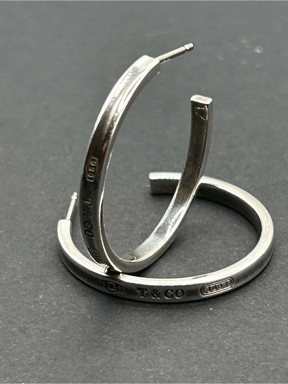 Tiffany & Co. earrings elegance chic